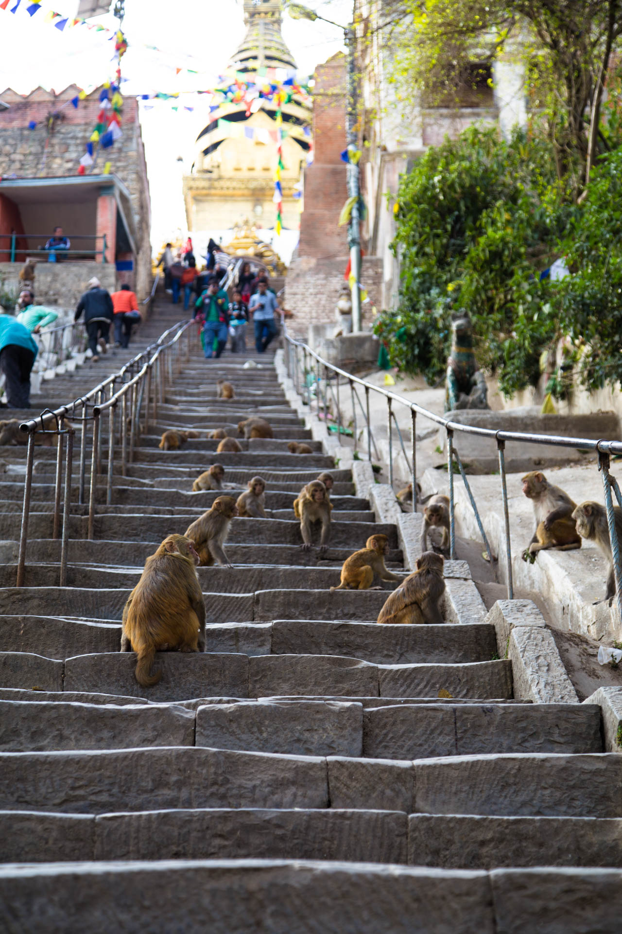 stupa steps