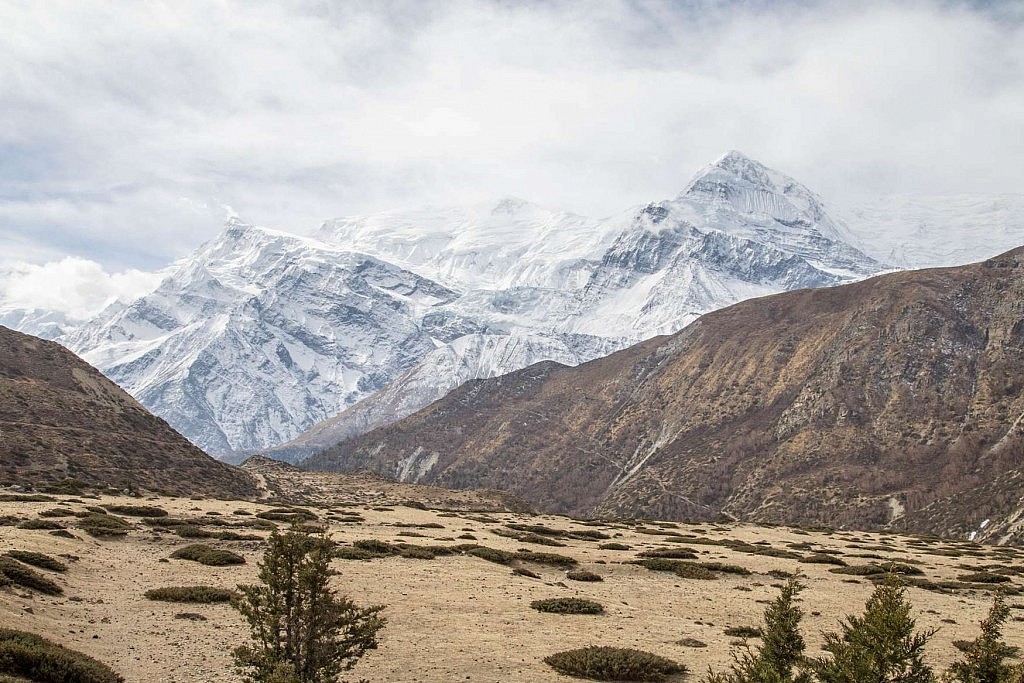 Sicht auf Annapurna III und Gangapurna