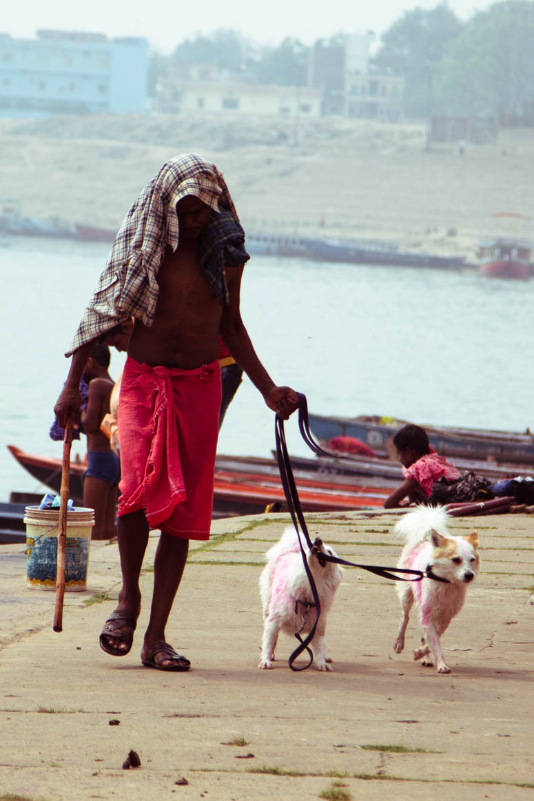 Sadhu with pets