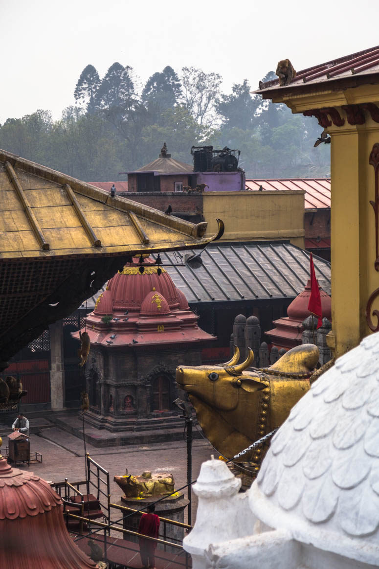 Pashupatinath