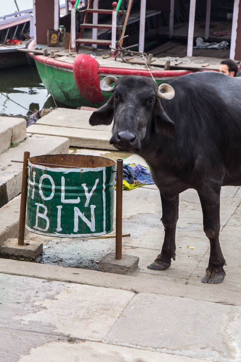 Holy Things in Varanasi