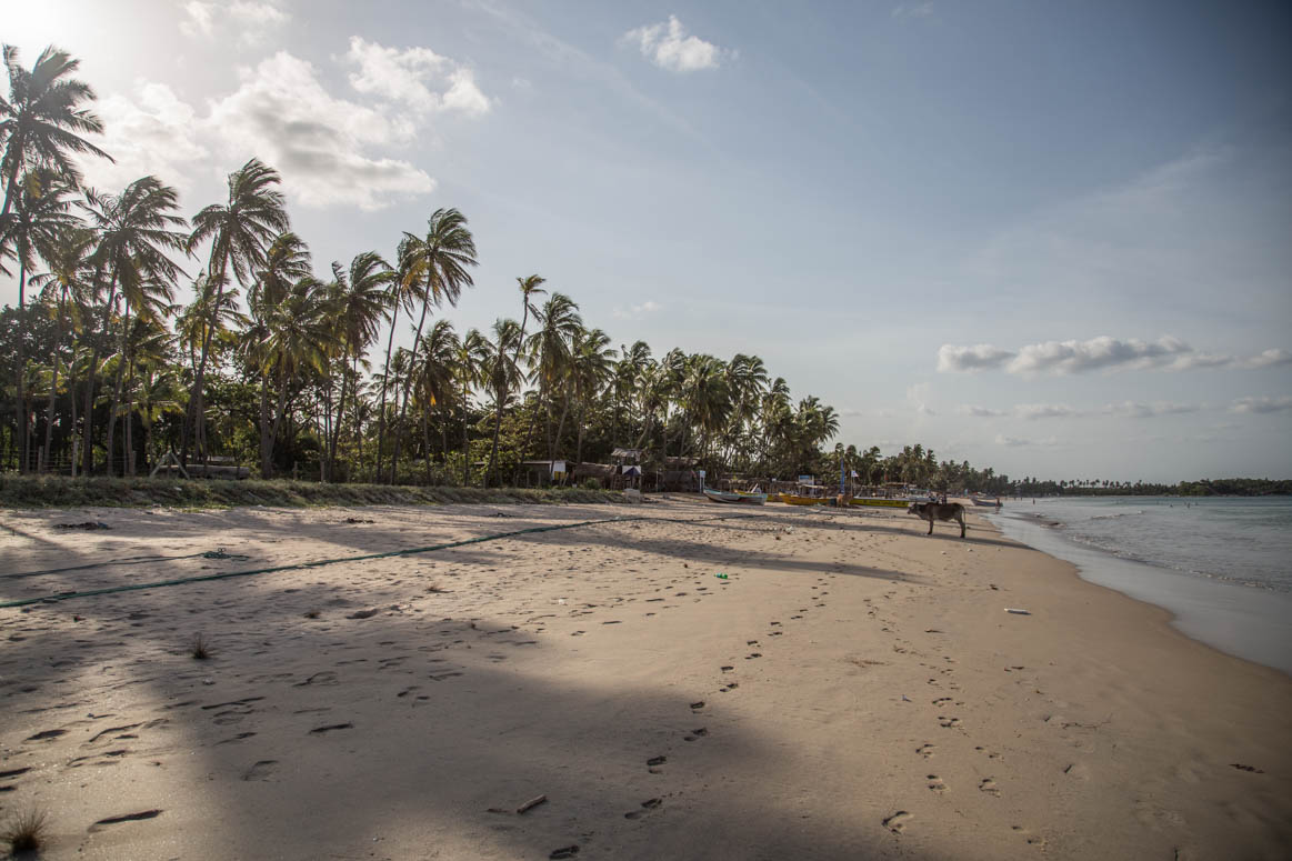 beach in Uppavelli