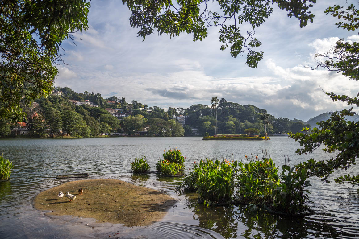 Das Leben am See