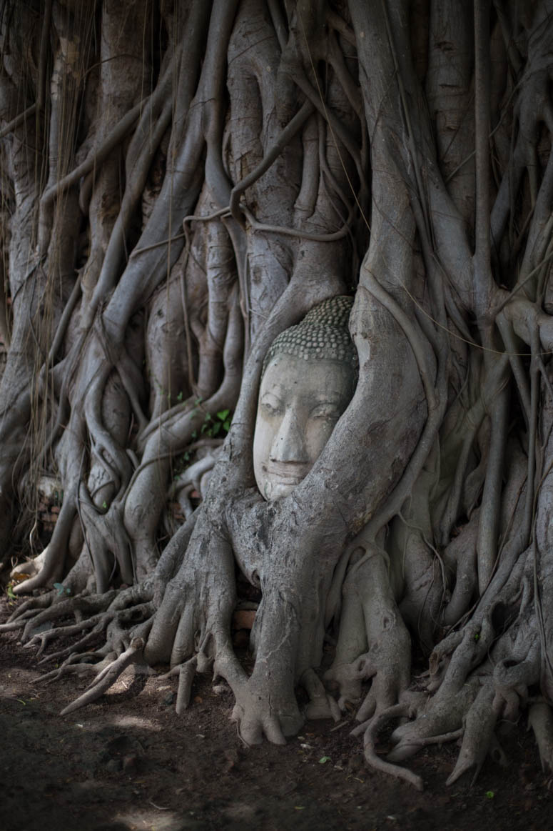 heilige Buddha von Ayutthaya