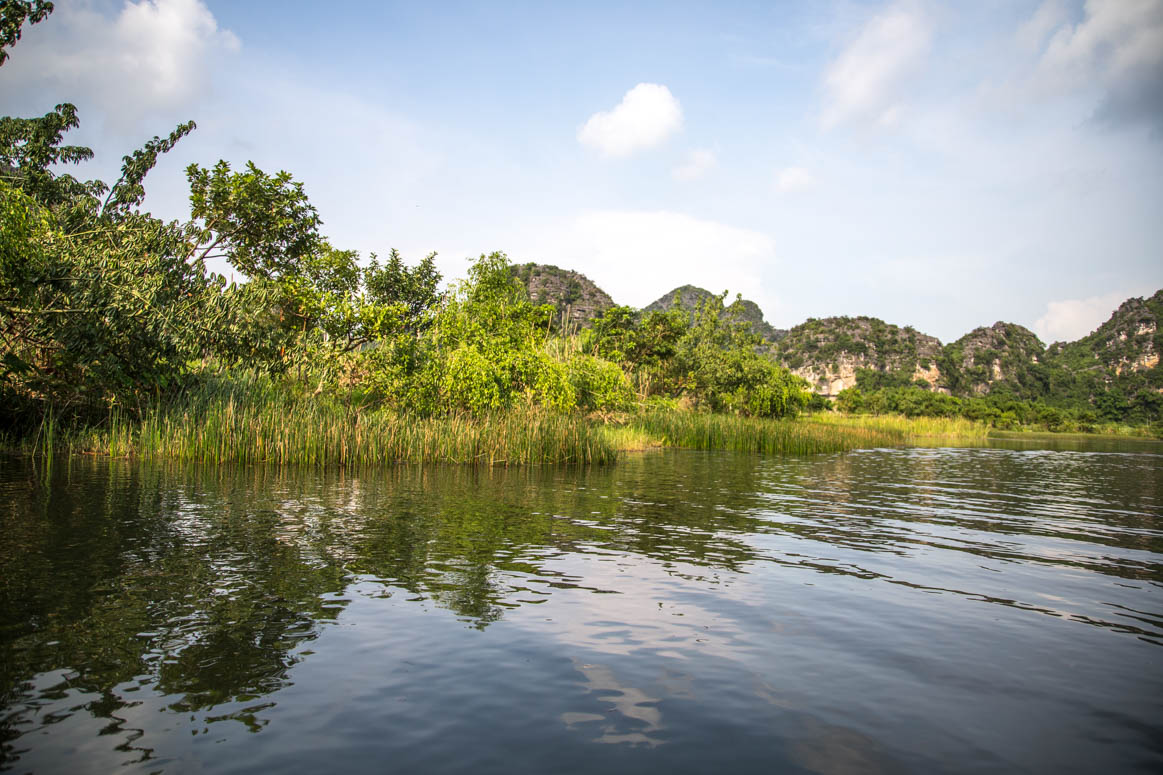 Schilfufer in Ninh Binh