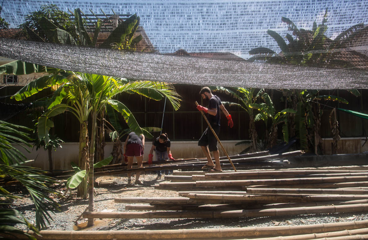 Bamboo treatment process