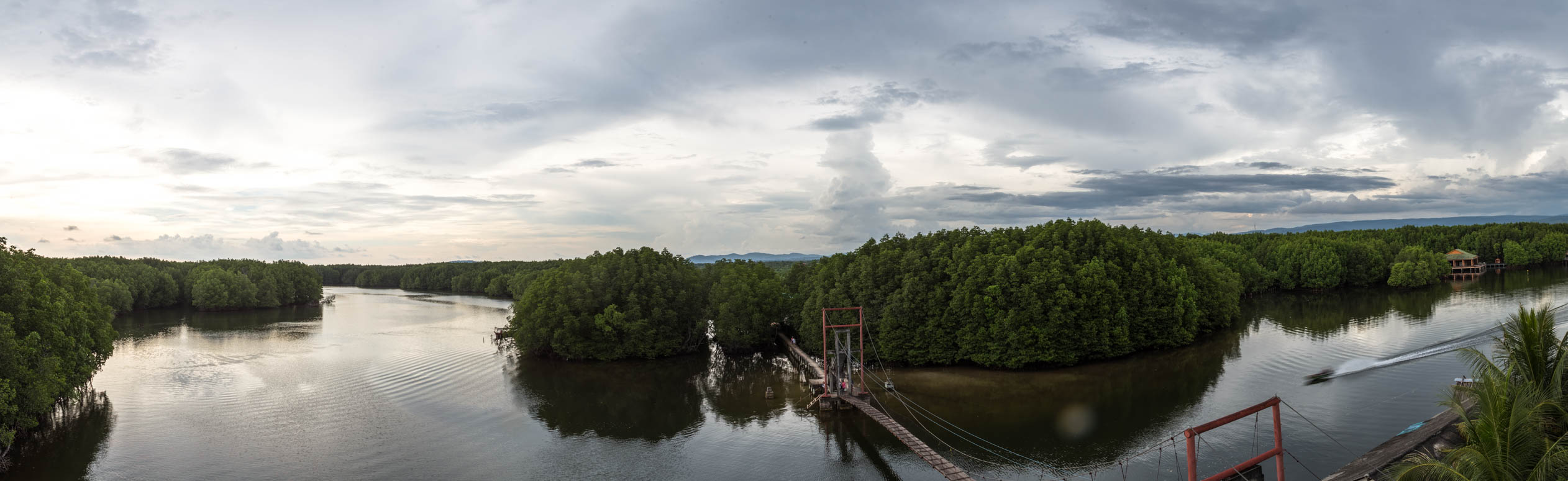 View over the mangrove forests in Koh Kong