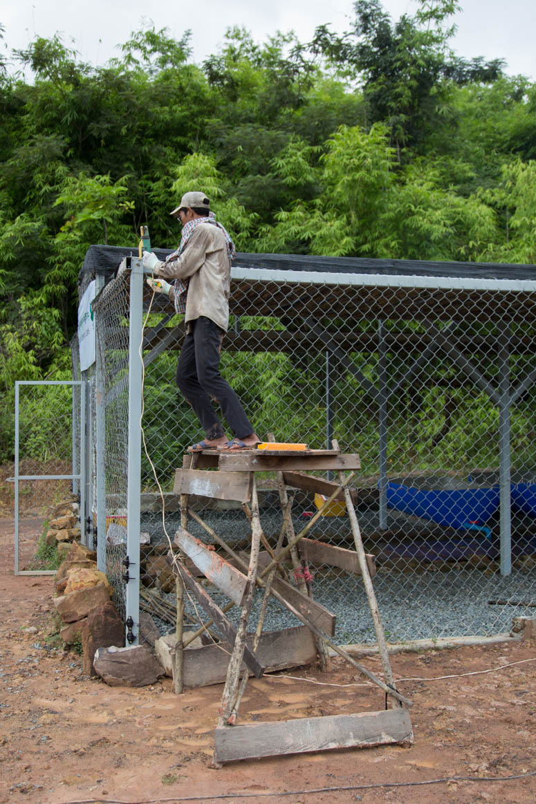 welding at the turtle sanctuary