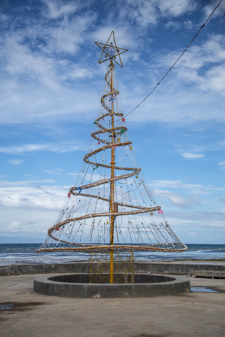 Weihnachtsbaum