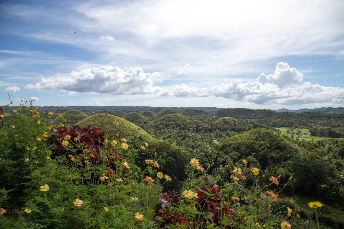 Chocolate Hills