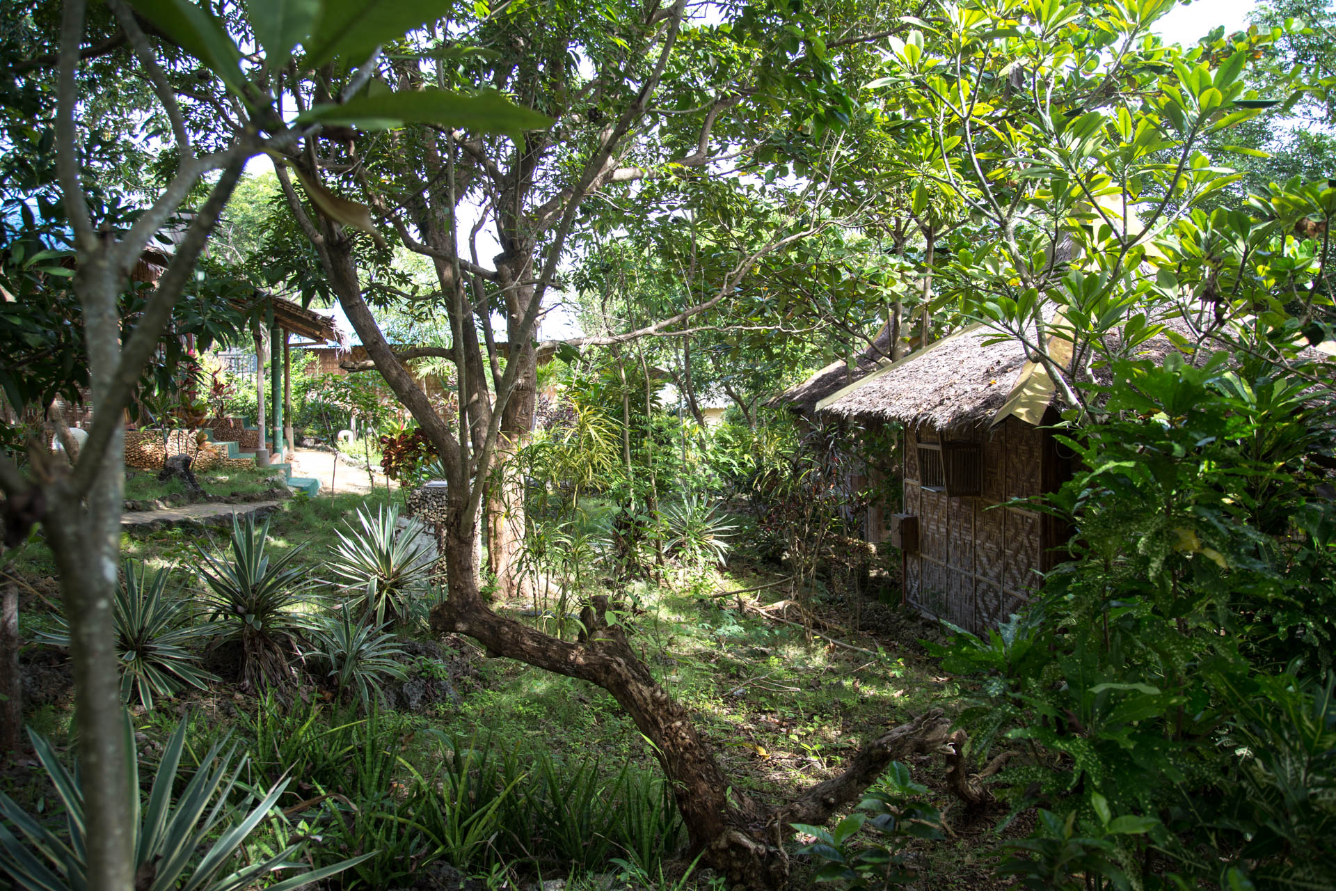 Eco Resort Bantayan