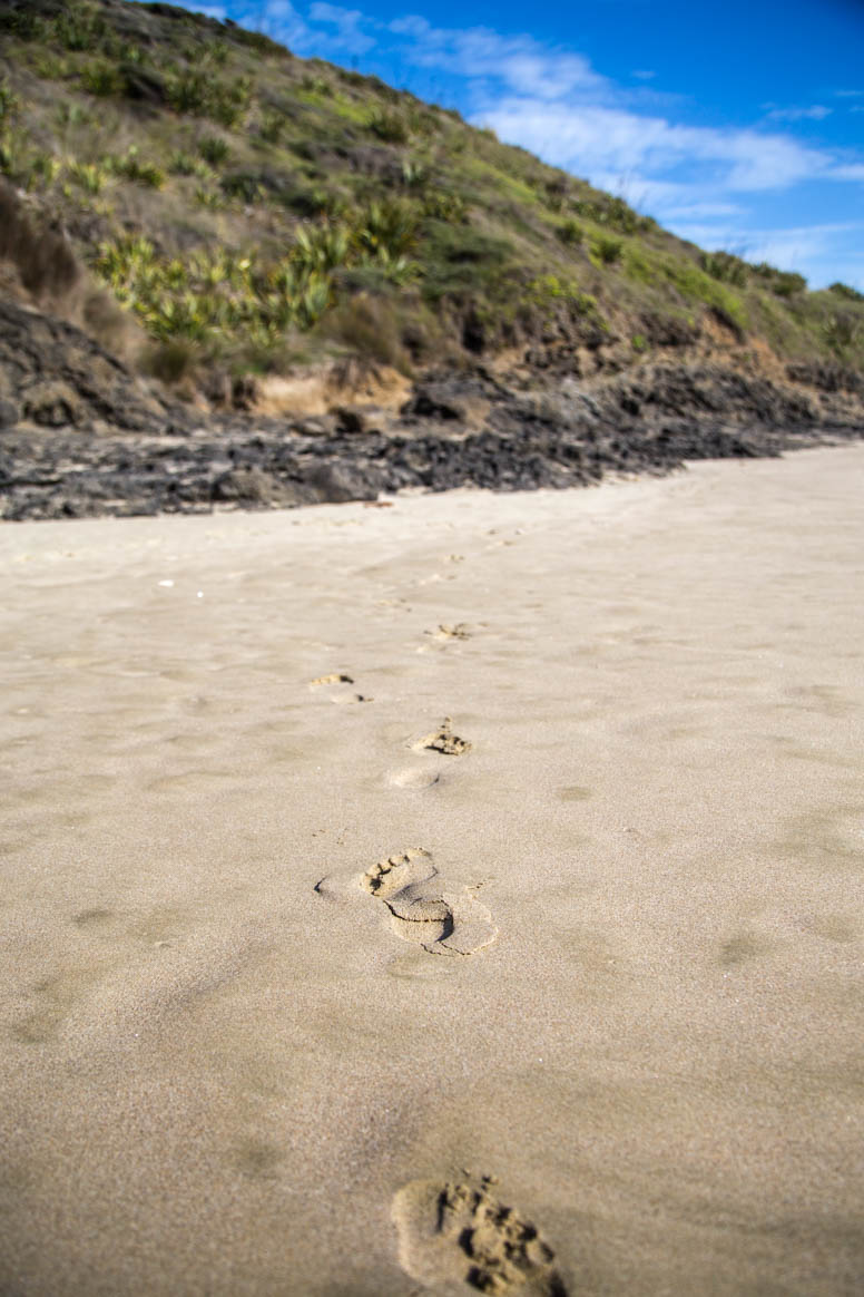 spuren im sand