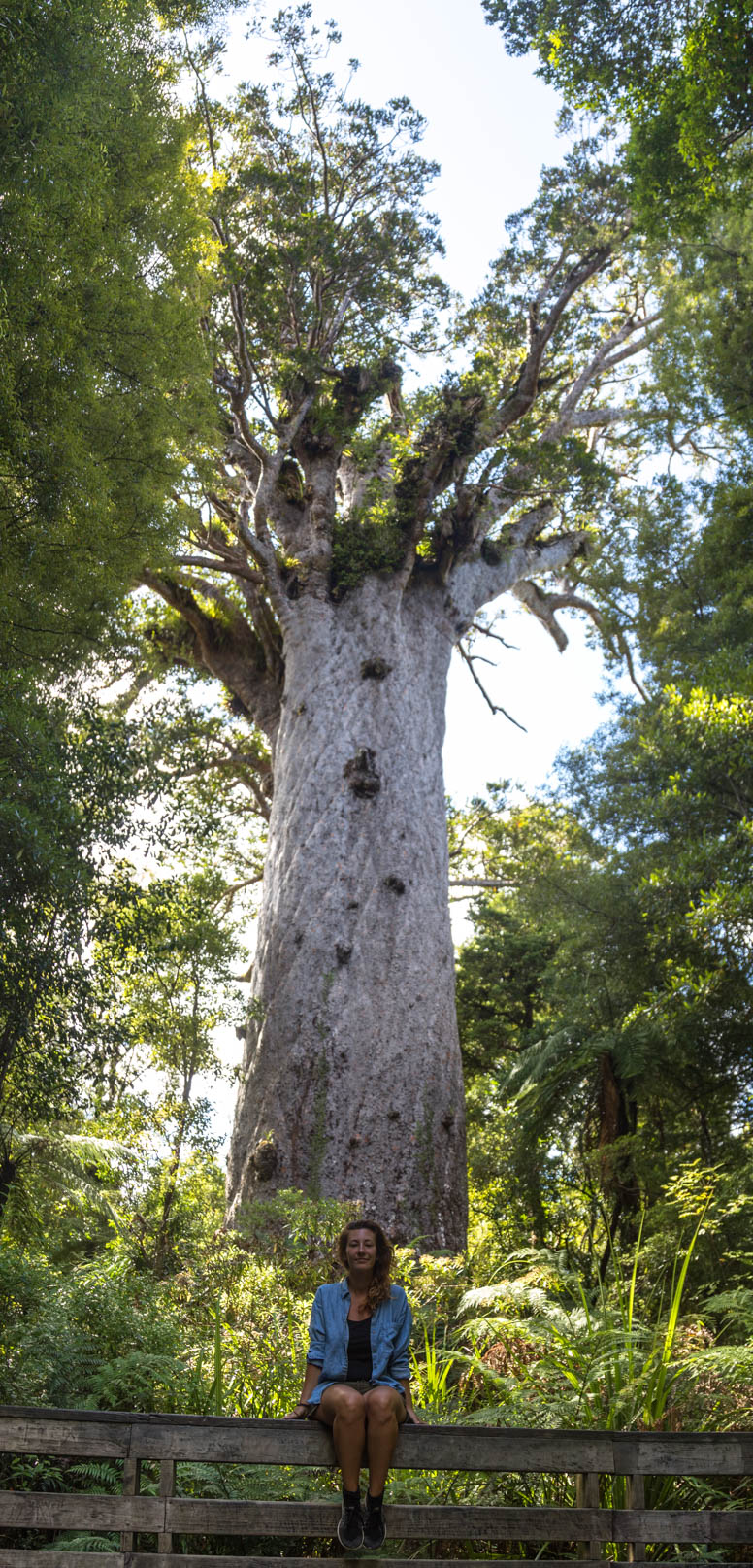 Tane Mahuta