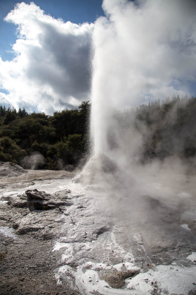 Lady Knox - Geyser