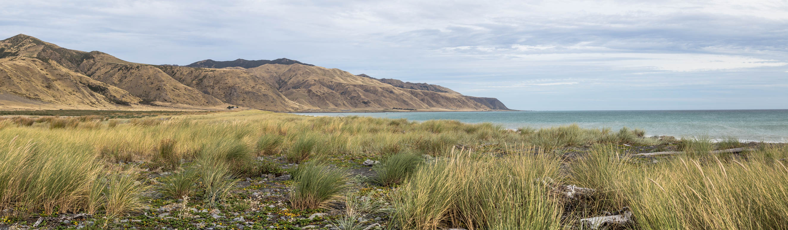 Cape Palliser