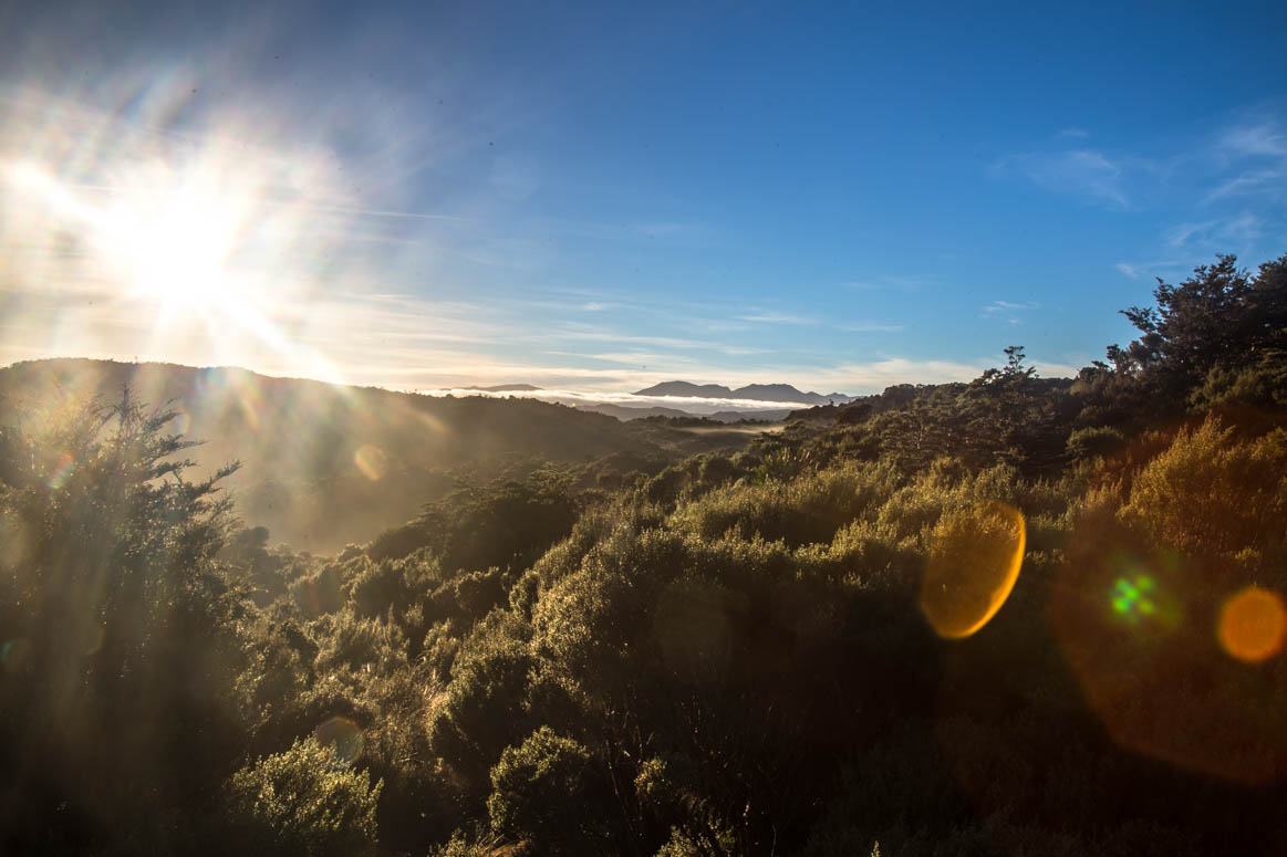 Morgensonne am Heaphy Track