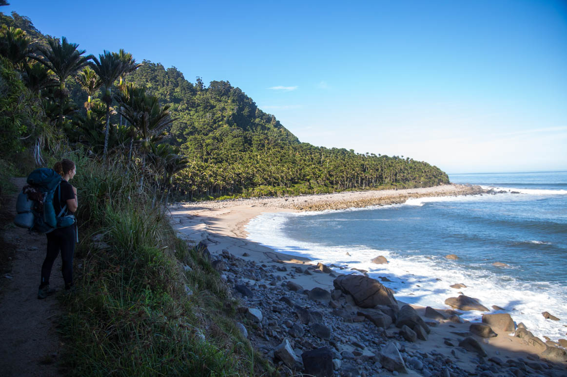 Buchten am Heaphy Track