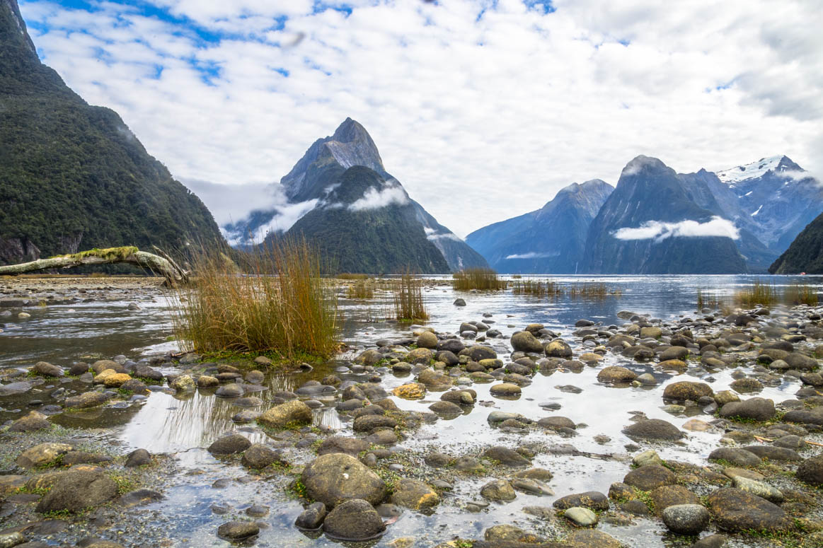 Ufer im Milford Sound