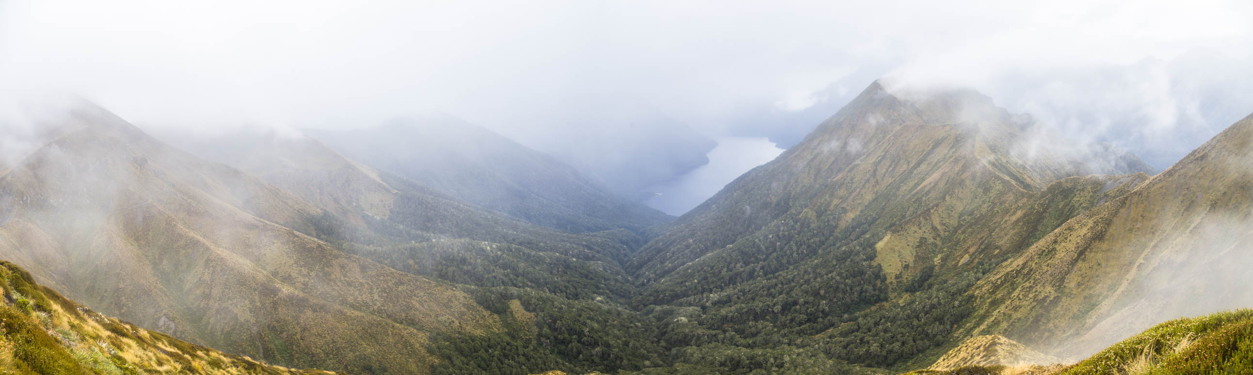 nebeliges Valley