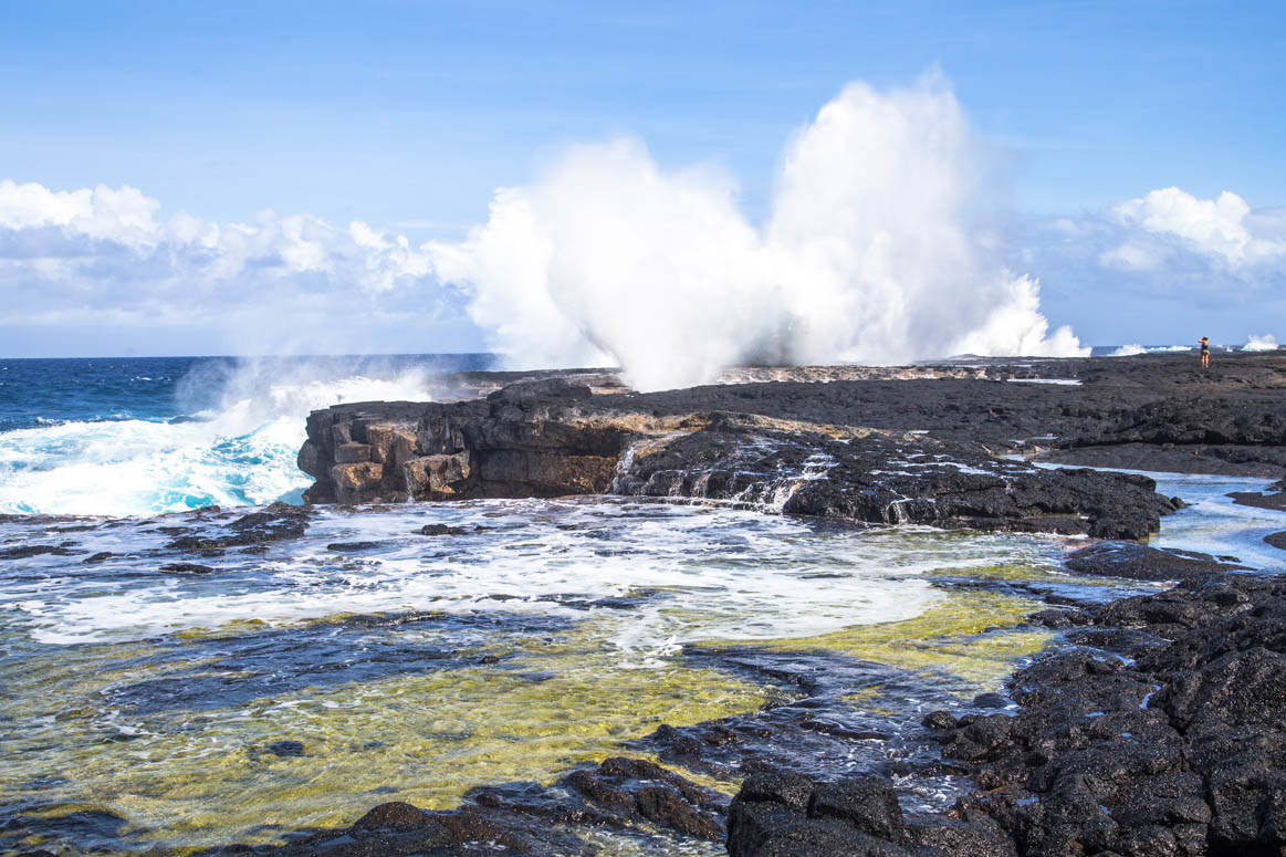 Blowhole